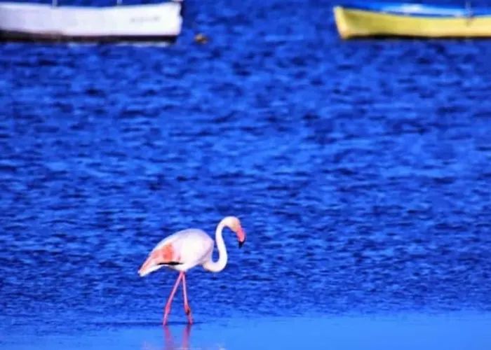 Relaxing Experience In Club Nautico Isleta Appartement *