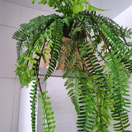 Appartement Relaxing Experience In Club Nautico Isleta