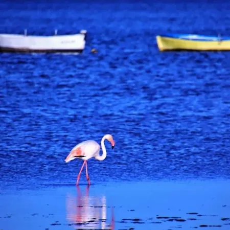 Relaxing Experience In Club Nautico Isleta Appartement *