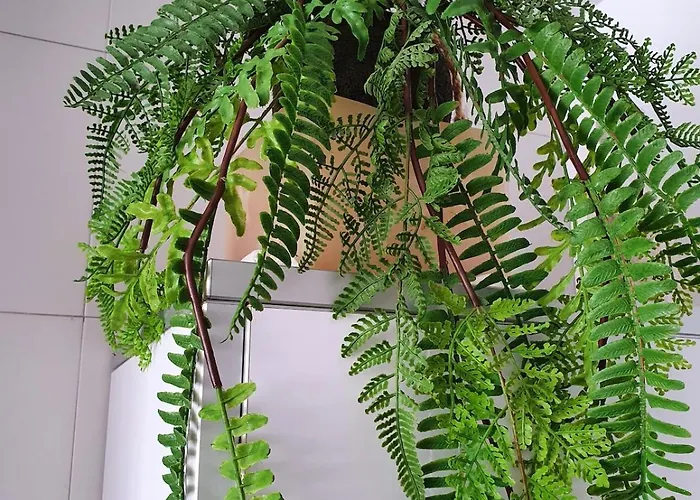 Apartment Relaxing Experience In Club Nautico Isleta